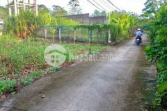 Nền rạch mù u p thường thạnh q cái răng