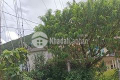 Cần bán lô làng chiếu bắc yên sơn la