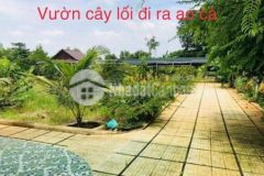 Bán nhà vườn nghỉ dưỡng