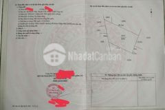 1000m2 đất lúa phước hậu cần giuộc long an