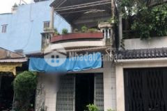 Mt chính chủ vũ trọng phụng p tân thành 4x19