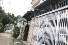 Chủ ngộp ra gấp cặp nền đẹp lộ xe hơi 7 chổ