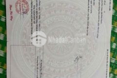 Bán lô đất sào nông nghiệp 1000m2 an khương 350tr