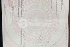 Bán nhà mặt tiền hẻm lia phường 4 giá tốt