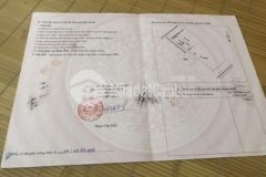 Bán gấp đất 2 mặt tiền đường mòn hồ chí minh