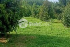 Đã có sổ và công chứng ngay