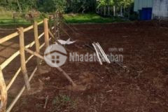 Cần bán đất mặt tiền quốc lộ 54