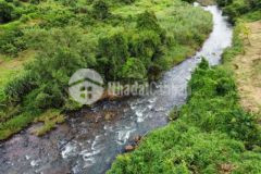 Bán đất rẫy có suối hồ cà phê nhà cửa điện nước