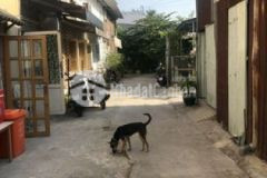 Nha nguyên căn f28 binh quơi 1trêt gac gtơ kk99