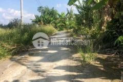 Bán đất 11 4x61 4m đường 2m bảy ngan 230triệu