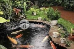 Biệt thự sân vườn tây hồ vị trí đẳng cấp víp