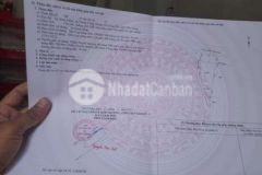 Cần bán nền mặt tiền đường nhựa thành công