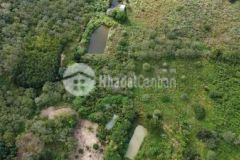 7ha tân hoà buôn đôn cách tỉnh lộ 1 800m