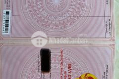 Cần bán đất cần giuộc 918m full thổ cư, giá rẻ cho nhà đầu tư