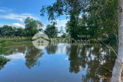 Bán đất nằm sát bên công viên safari rạng đông,đường vô tận đất, điên nước đầy đủ.lh xem sổ ạ