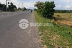 Bán 7.5ha mặt tiền triền 715 gần ngã 3 triền thiện nghiệp, phan thiết, bình thuận.