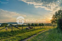 Bán lô đất 3 mặt tiền có ao hồ, trồng bạch đàn trên đất.. liên hệ xem sổ trên zalo ạ