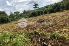 Đất tx buôn hò mt dài 80m, gần ql 14, 350 tr