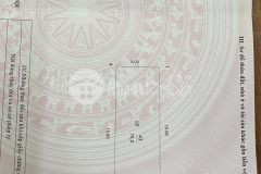 Bán nhà đường hoàng quốc việt, cầu giấy, phân lô, tiện kd nhà hàng, dt 75m2, 20.8 tỷ.