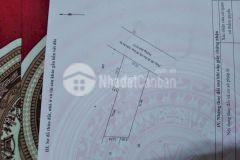 Cần bán miếng đất vườn chôm chôm mặt tiền 927c, xã tân thành, tp ngã bảy, hậu giang