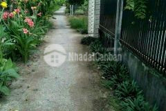 Bán nền giá rẻ đường kênh phong lưu xã vị thắng. huyện vị thuỷ. hậu giang