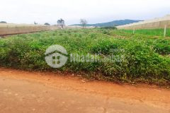 Đất măt tiền đường chính stb vùng ven đà lạt