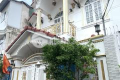 Biệt thự 1 lầu hẻm 791 trần xuân soạn, phường tân hưng, quận 7