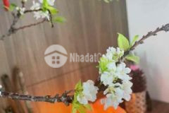 Nhà 4 tầng mặt tiền 4x15m q7 xịn xò vào ở ngay