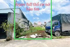 Bán lô đất gần giáo xứ ngọc đồng tân hoà 65m2