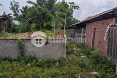 Bán nhà vườn 10000m2 mt kênh đường vườn thơm hbc