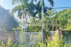 Cần bán đất mt cây trắc xã phú hoà đông củ chi