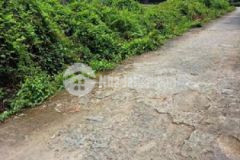 Đất 2 mặt tiền hẻm 16x47 ấp 3 ra đường dt833 170m