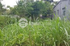 Mjh càn bán 1lô đất 250m2 sổ hồng riêng