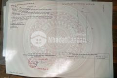 Bán đất thổ cư có nhà nhỏ và vườn trái cây