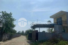 Mở 20 lô ngang 8m tt thị trấn đườg 5m cách lộ 100m