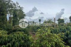 Chỉ 290trieu có ngay cuốn sổ hồng 500m2 đất