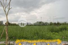 Gia đình có lô đất cần bán nguyễn hữu trí 100 shr