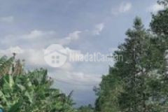 Bán đất vườn trồng cây hoà nhơn hoà vang