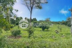 Bán 3350m2 đất có 60m2 thổ cư giá chỉ 790trieu