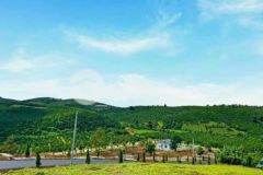 Bán nhanh lô đất siêu đẹp mặt tiền ql 29 buôn hồ