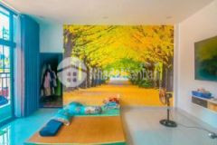 E bán nhà q3 40m2 đang cho thuê 5 phòng ngang 5m