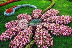 1743 m2 có 150m2 đất ở nguồn gốc thổ cư sổ hồng