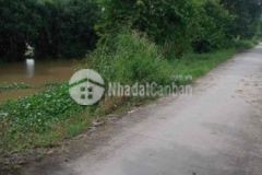 1000m2 đất cln mặt đường xe 7c tới pc cai lậy tg