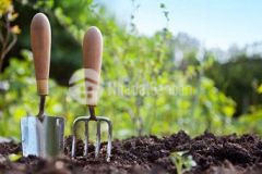 2018 9 m2 có 130m2 đất ở ngang 25m tại hoà phong