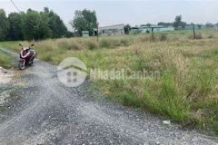 159m2 đất thổ mtđ giáp bình chánh giá 550tr shr