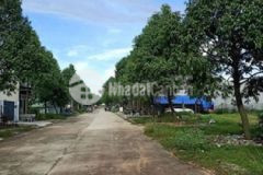 Bán đất tặng kèm nhà trọ 150m2 chánh phú hòa