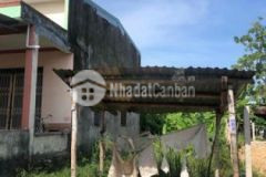 Đất cẩm nê hoà tiến cần bán