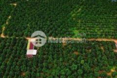 Đất view hồ trị an siêu rẻ tại túc trưng định quán