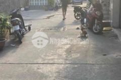 Cần tiền đầu tư bán nhanh