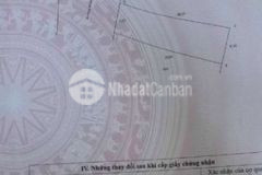 Nền thổ cư đường oto tân hạnh vl